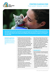 LDH_Adopting from The Lost Dogs Home