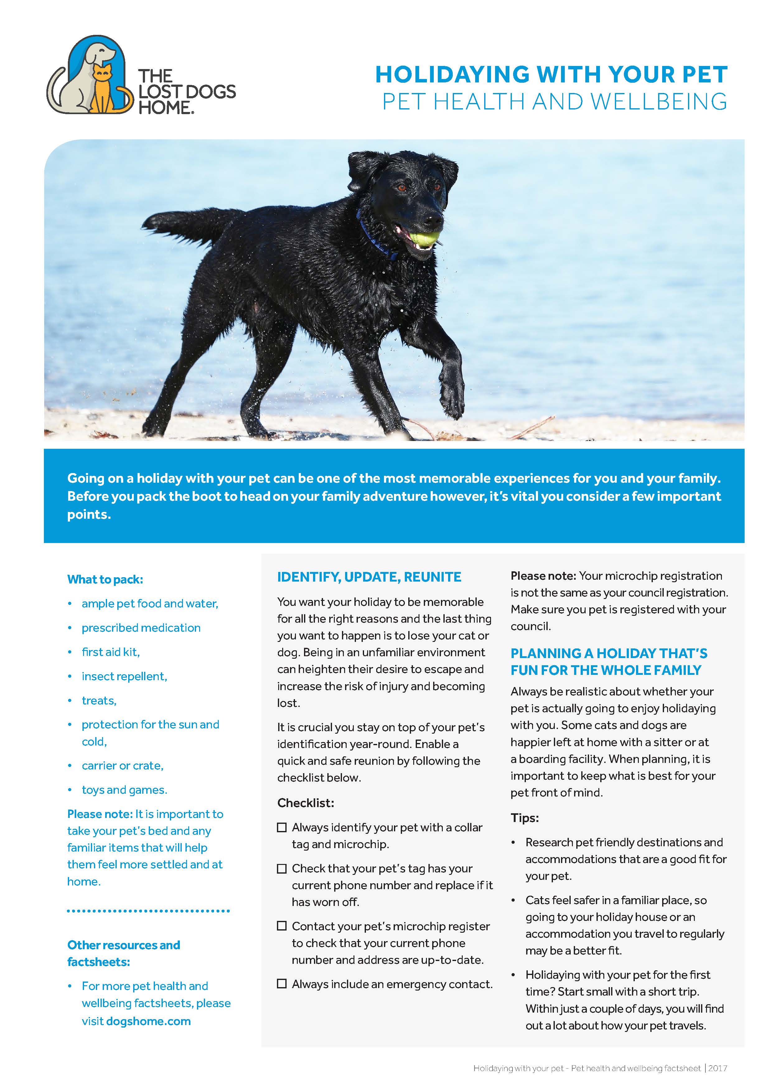 LDH_Adopting from The Lost Dogs Home