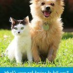 What is your Pet trying to tell you